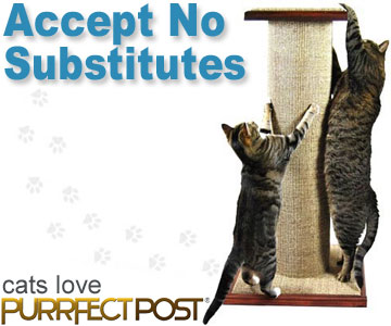 PurrfectPost.com - No aceptar sustitutos