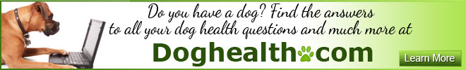 Dog Health tiene un perro