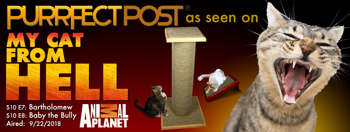 Purrfect Post como se ve en Cat From Hell en Animal Planet 9/22/18