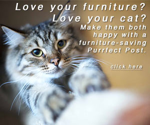 ¿Te encantan tus muebles? ¿Te encanta tu gato? Haz que ambos estén contentos con un Purrfect Post que los salva de muebles.