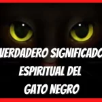 Gato Negro Significado Espiritual.